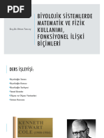 Tera Patrik porno video onlayn