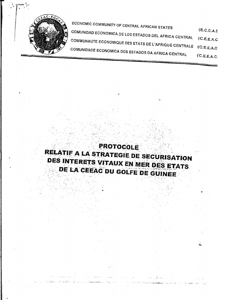 30854-Doc-Eccas Protocol 0 | PDF