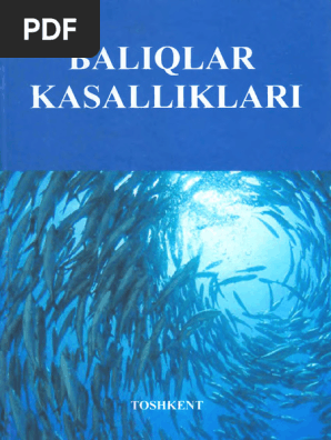 Zoey Holloway porno hd