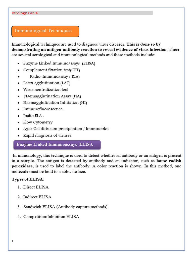 Lab 6 Virology | PDF