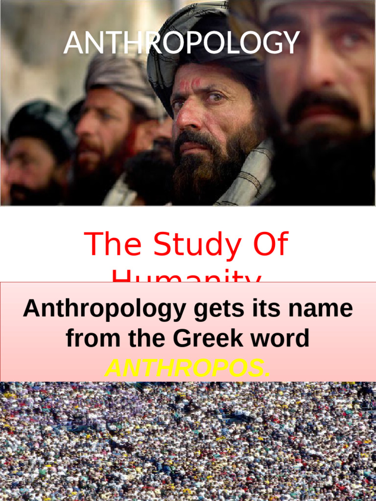 What Is Anthropology Pdf