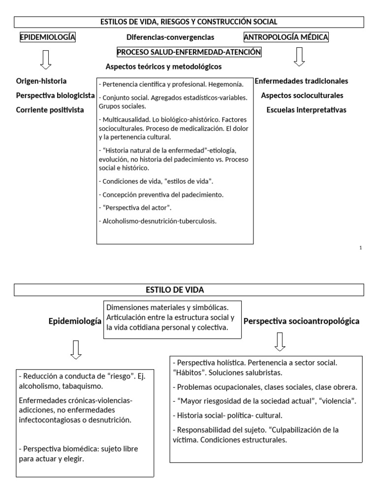 Red Conceptual Menendez Estilos Vida Riesgos Construccion Social1 PDF