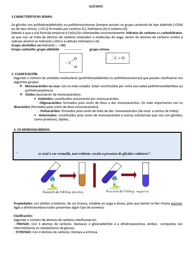 Glã Cidos | PDF