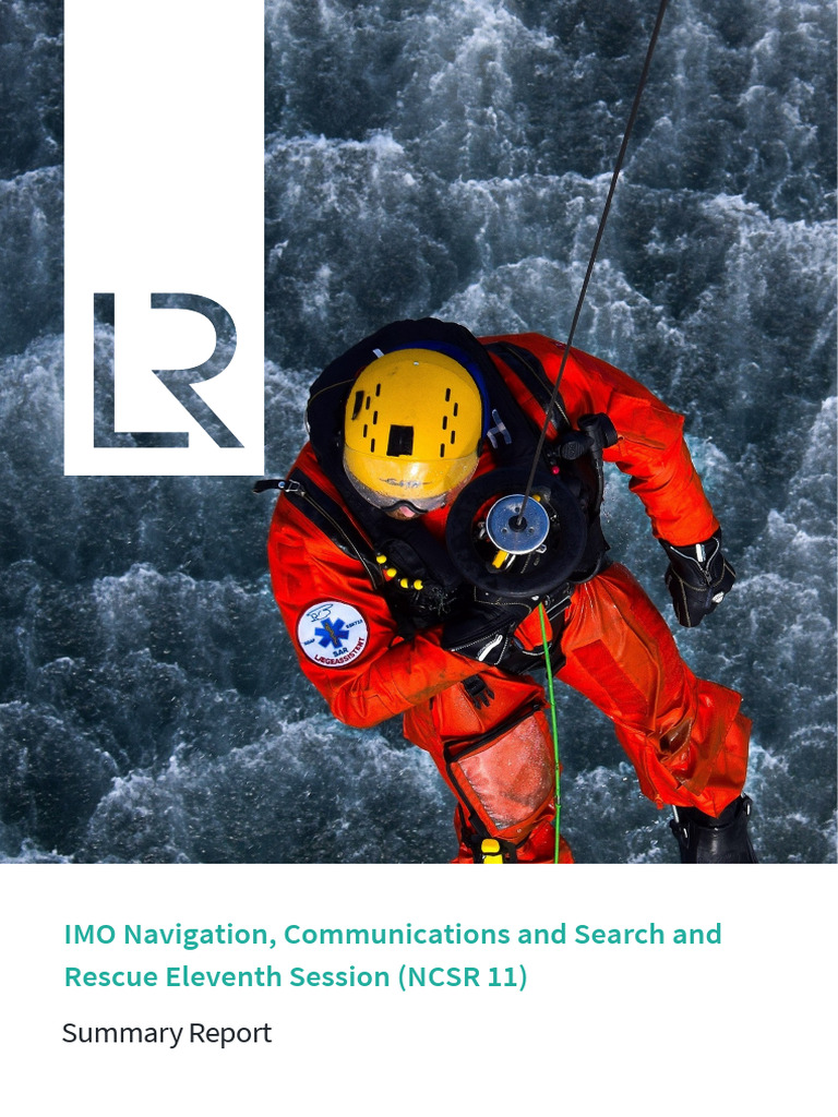 NCSR 11 Summary Report | PDF