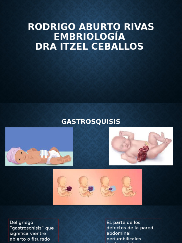 Embrio | PDF
