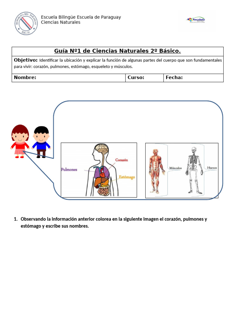 Guia De Ciencias 2 Básicos O M H 2 Pdf
