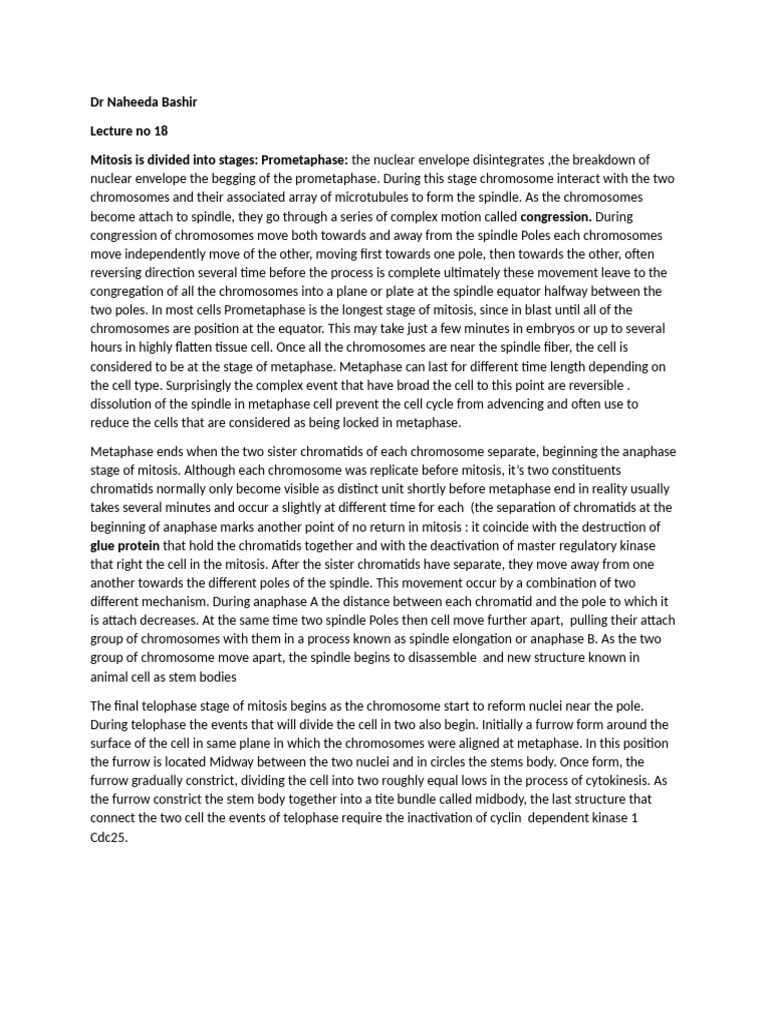 Document (17) 1 | PDF
