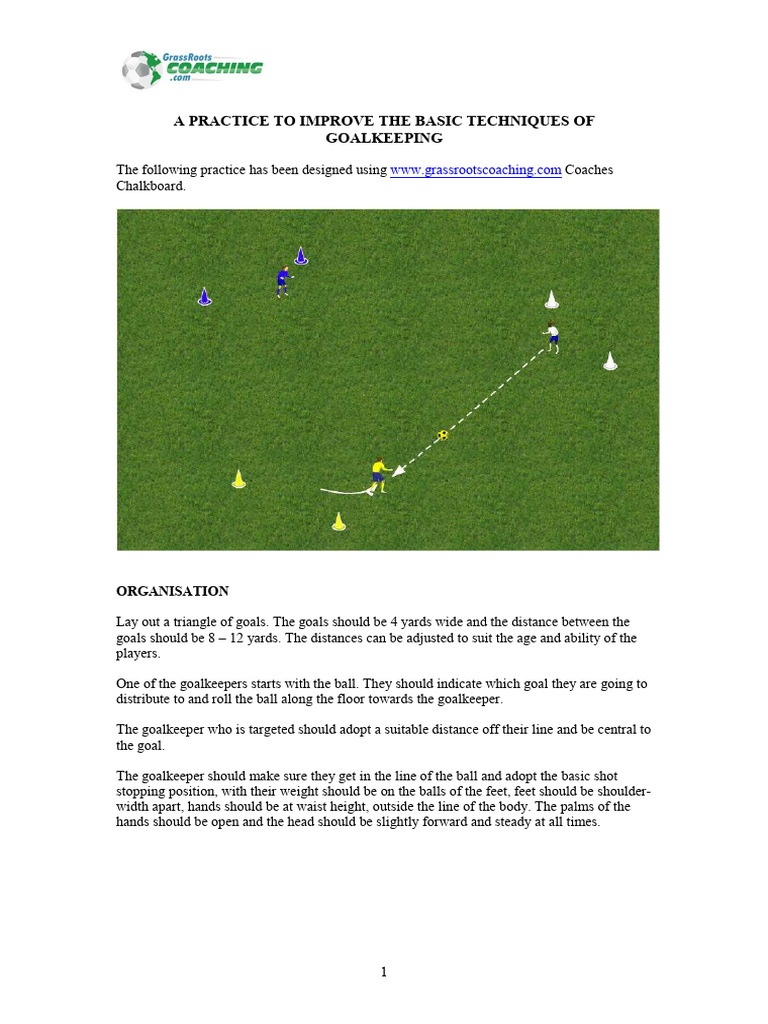 Goalkeeping Technique | PDF