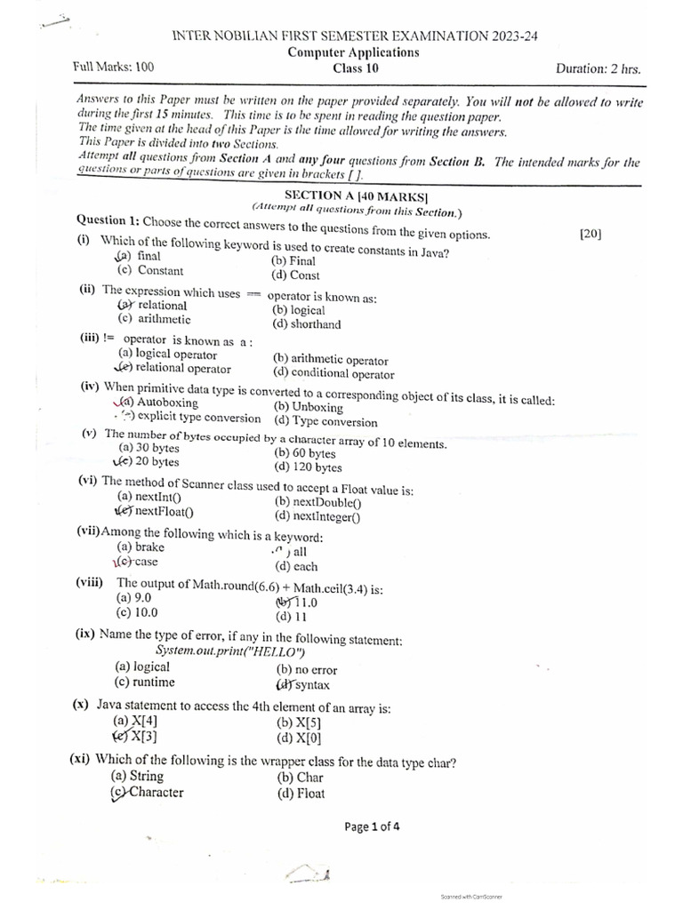 Class 10 computer pdf