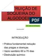 DESTRUIÇÃO DE SOQUEIRA DO ALGODOEIRO