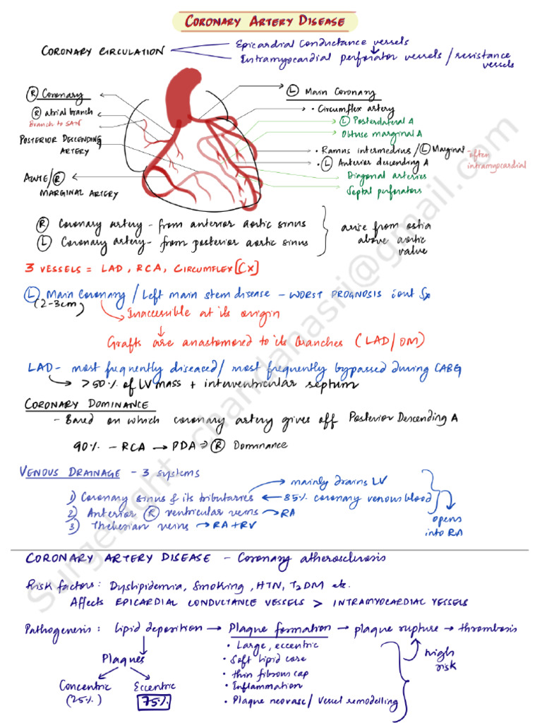 Ctvs 1 | PDF
