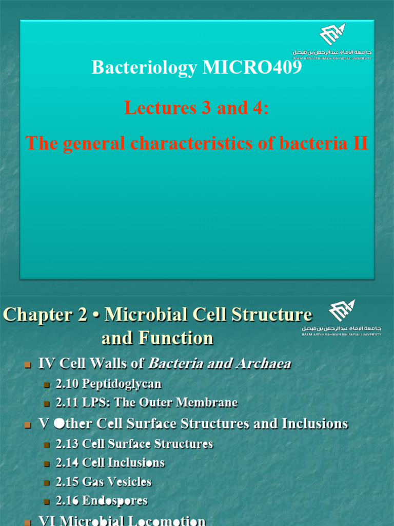 Lect 3 and 4 | PDF