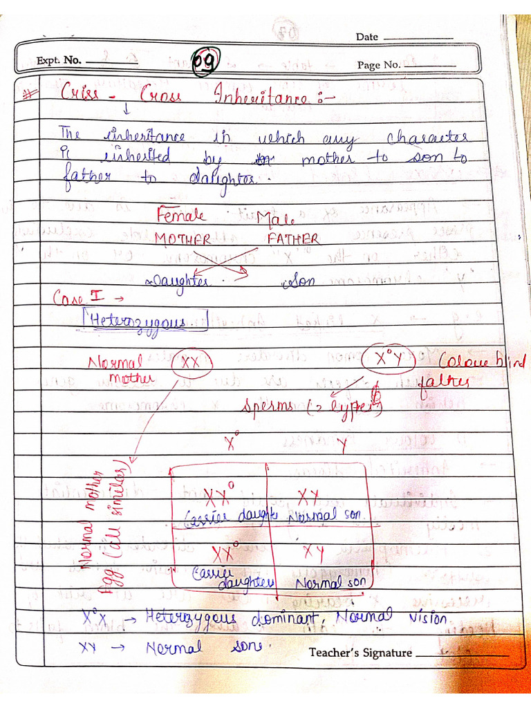 Chapter 3 - Genetics | PDF