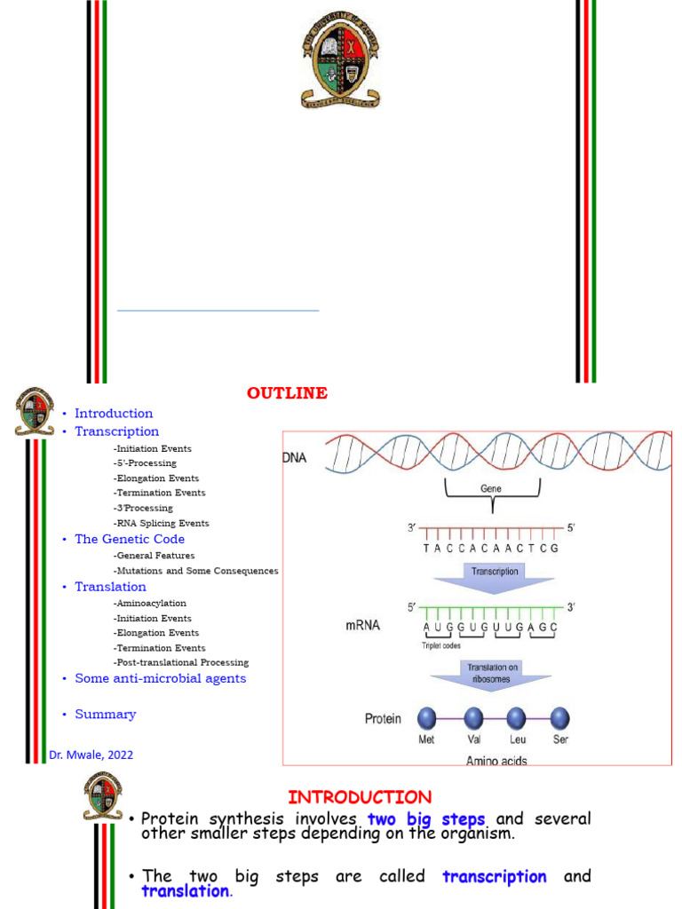 Start Codon and Amino Acid Coding | PDF | Genetic Code | Translation ...