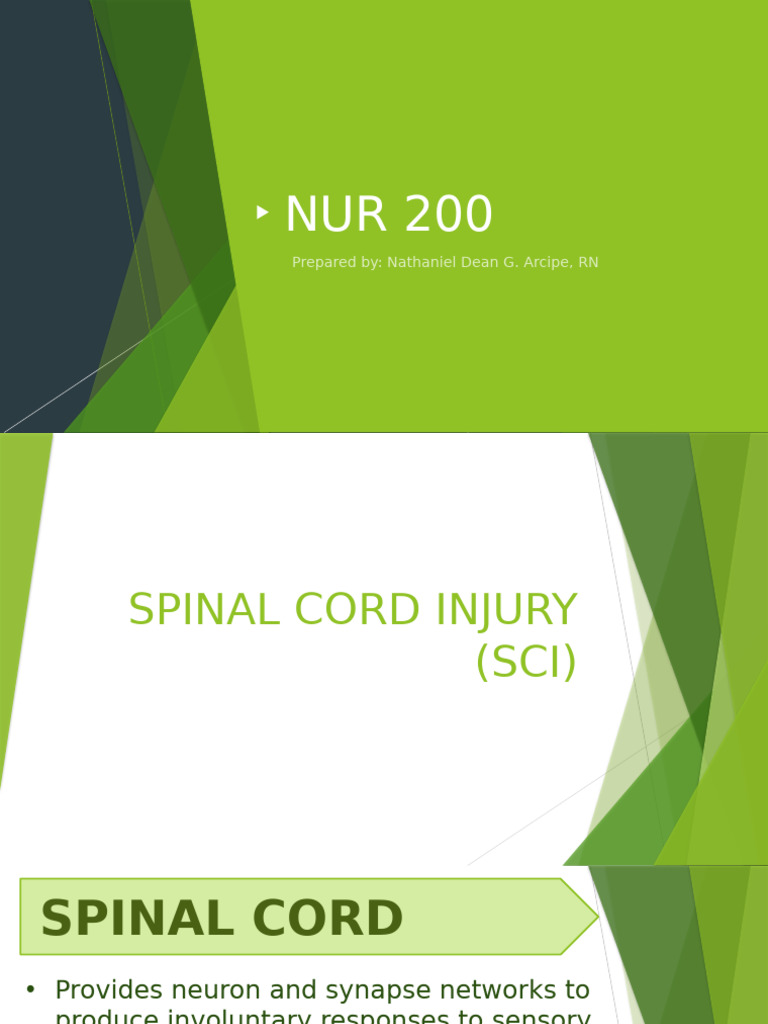 Spinal Cord Injury Guide | PDF | Spinal Cord | Diseases And Disorders