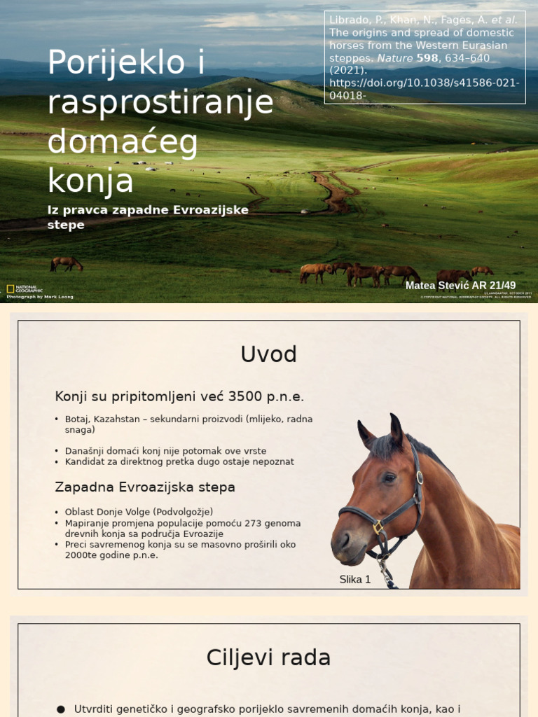 Konji | PDF