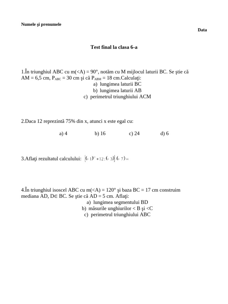 Test Final Clasa 6 | PDF