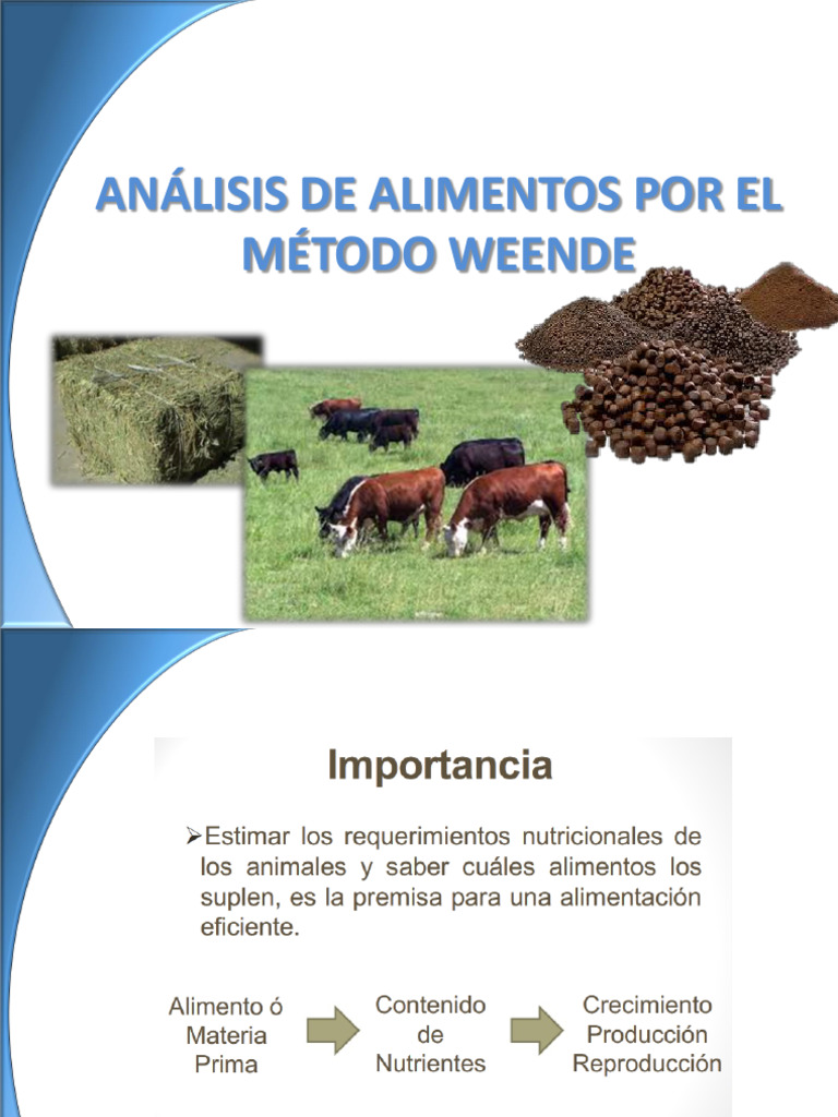 Análisis Proximal Método Weende | PDF | Proteínas | Amoníaco
