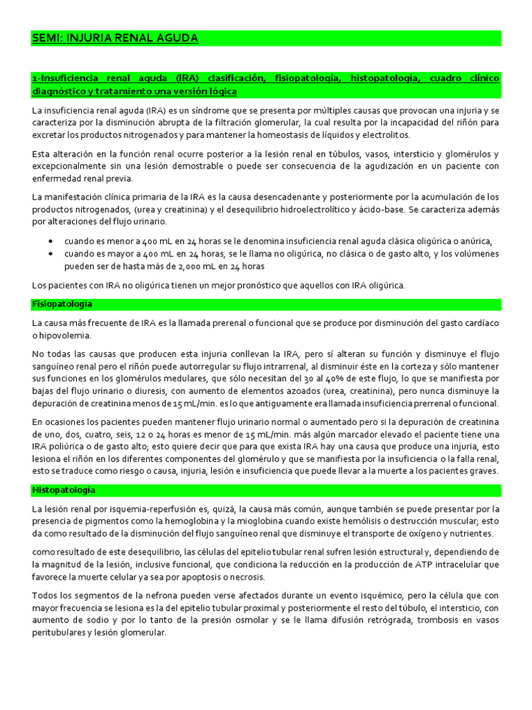 Injuria Renal Aguda | PDF