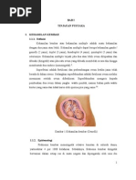 Download GEMELLI TERBARU by muktialmira SN76912983 doc pdf