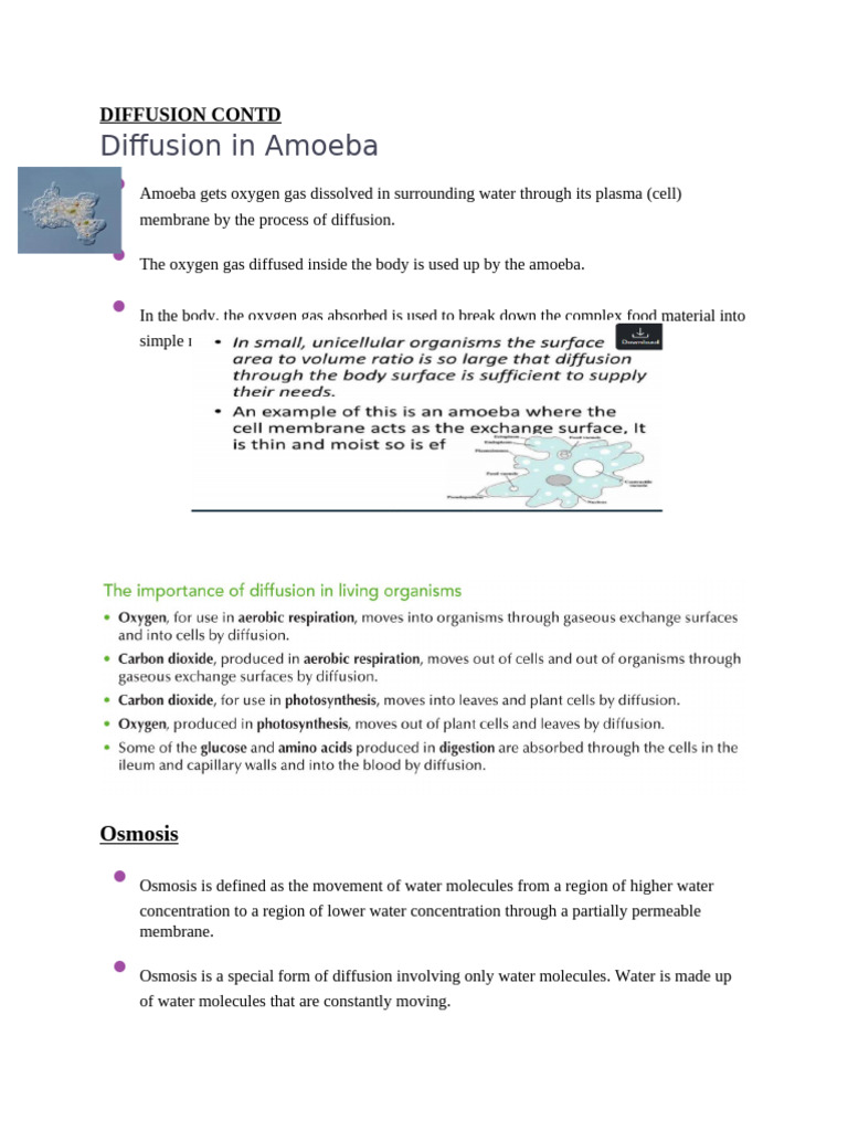 Amoeba Diffusion and Osmosis Explained | PDF