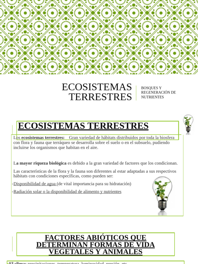 Tipos de Ecosistemas Terrestres y Bosques | PDF | Trees | Organisms