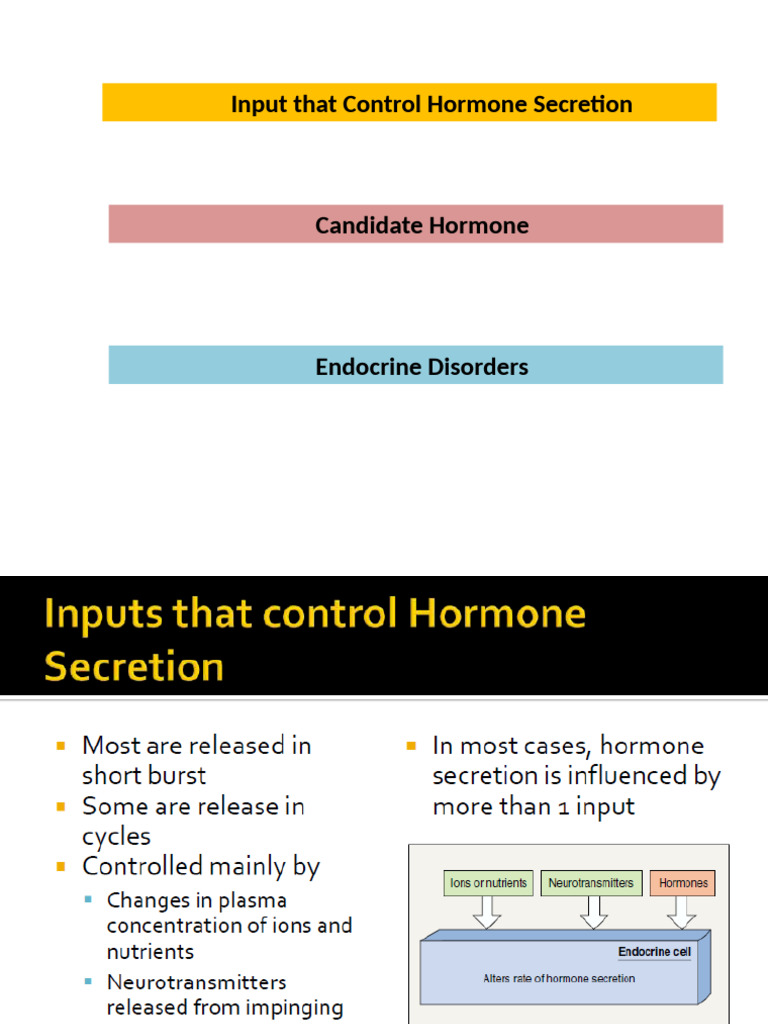 4-Inputs That Control Endocrine System | PDF