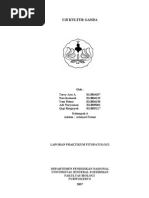 Download Uji Kultur Ganda Dah Jadi by sofii_basalamah SN76918163 doc pdf