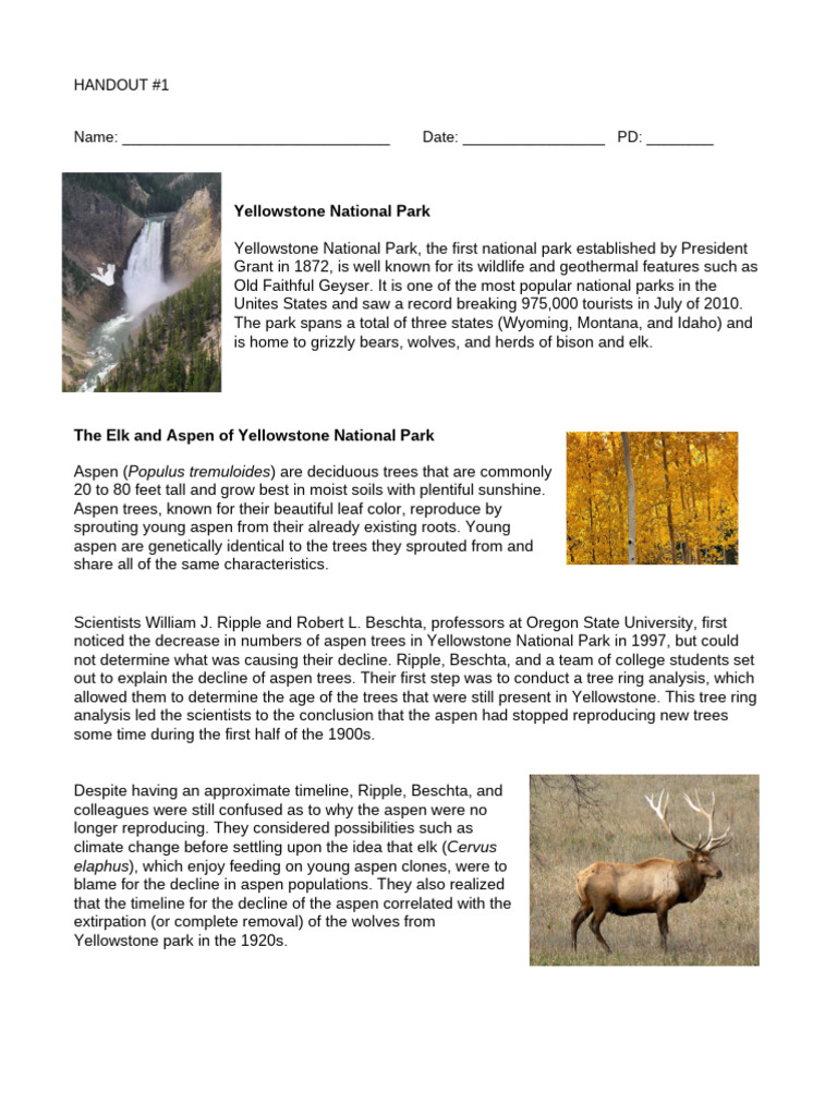 Yellowstone Students Worksheet Word PDF