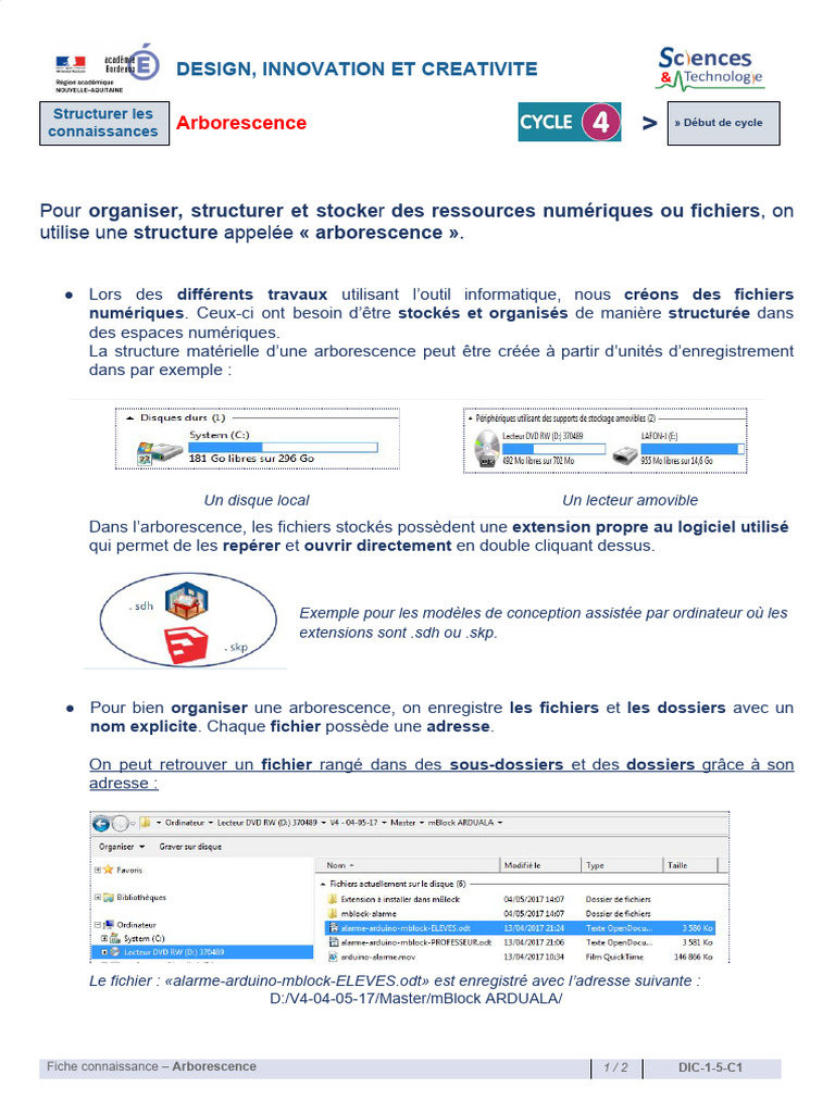 DIC 1 5 C1 D Arborescence | PDF