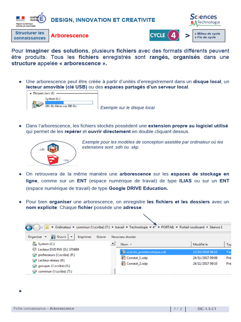 DIC 1 5 C1 MF Arborescence | PDF