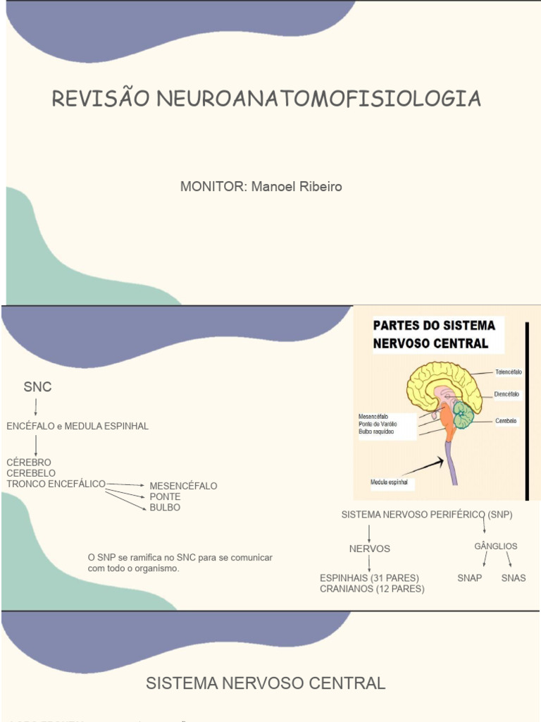 Apresentação Sem Título | PDF