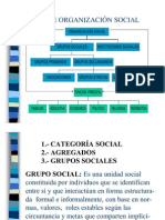 Organizacion Social