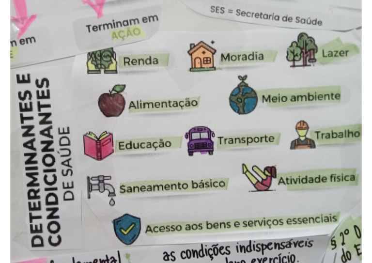 Determinantes e Condicionantes | PDF