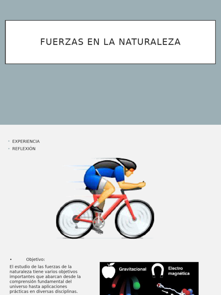 4 Fuerzas de La Naturaleza | PDF