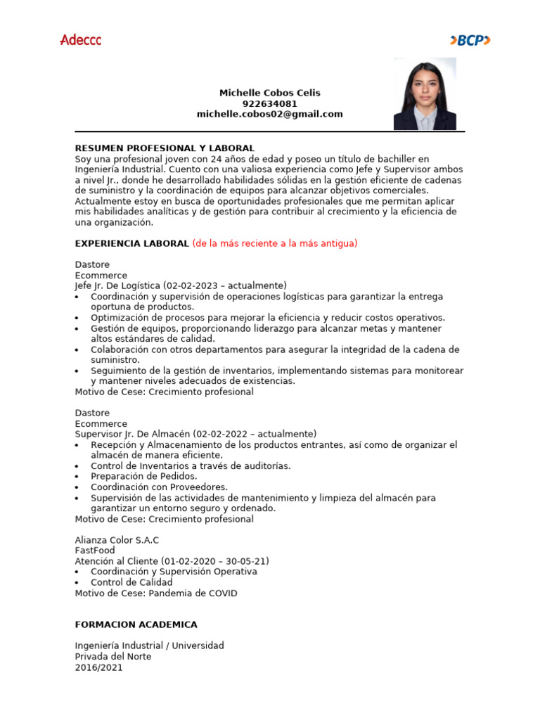 Modelo de CV BCP | PDF
