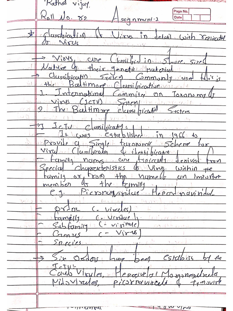Vijay Assignment 2 | PDF