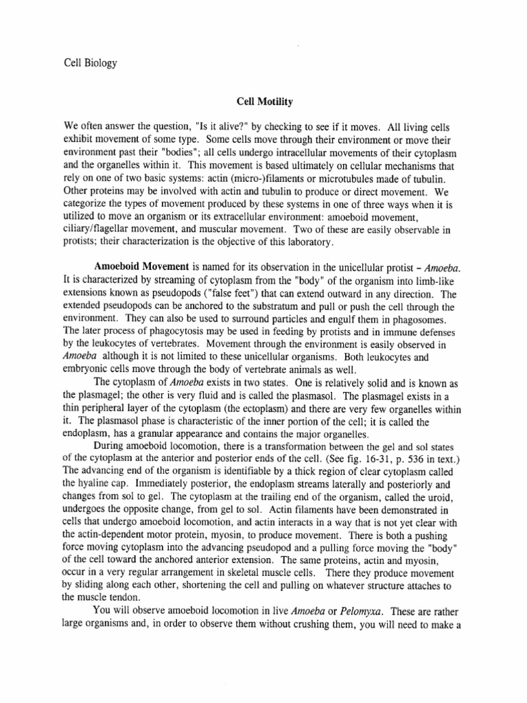 Cell Motility Notes | PDF