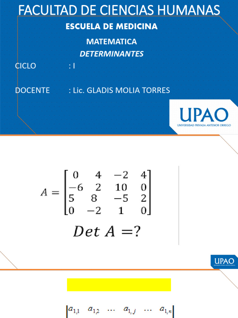 Determinant e | PDF