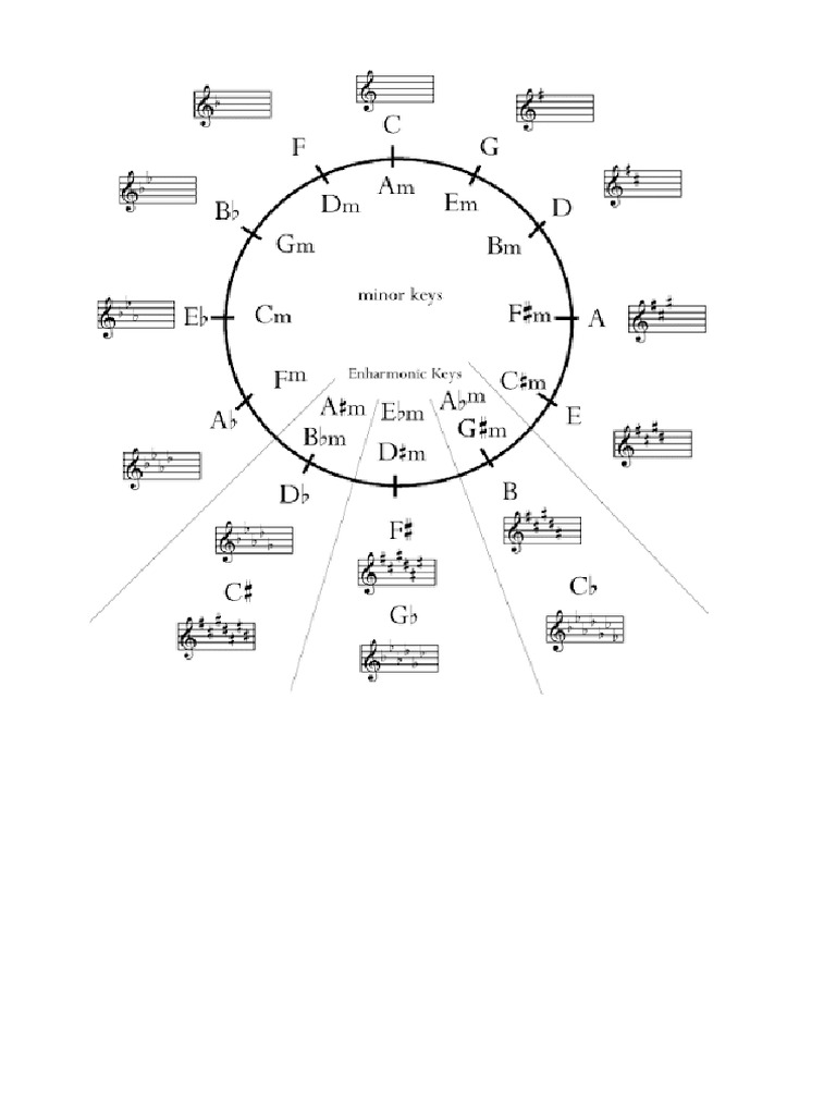 Ciclo Das 5 | PDF
