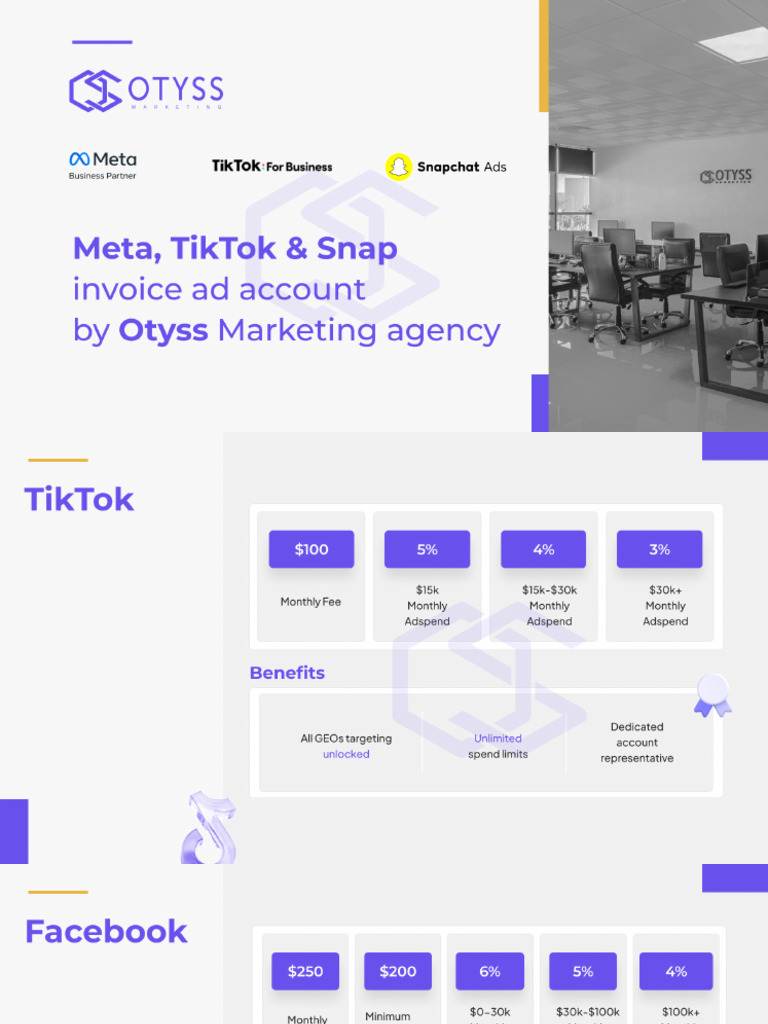 Meta,TK & Snap Invoice | PDF