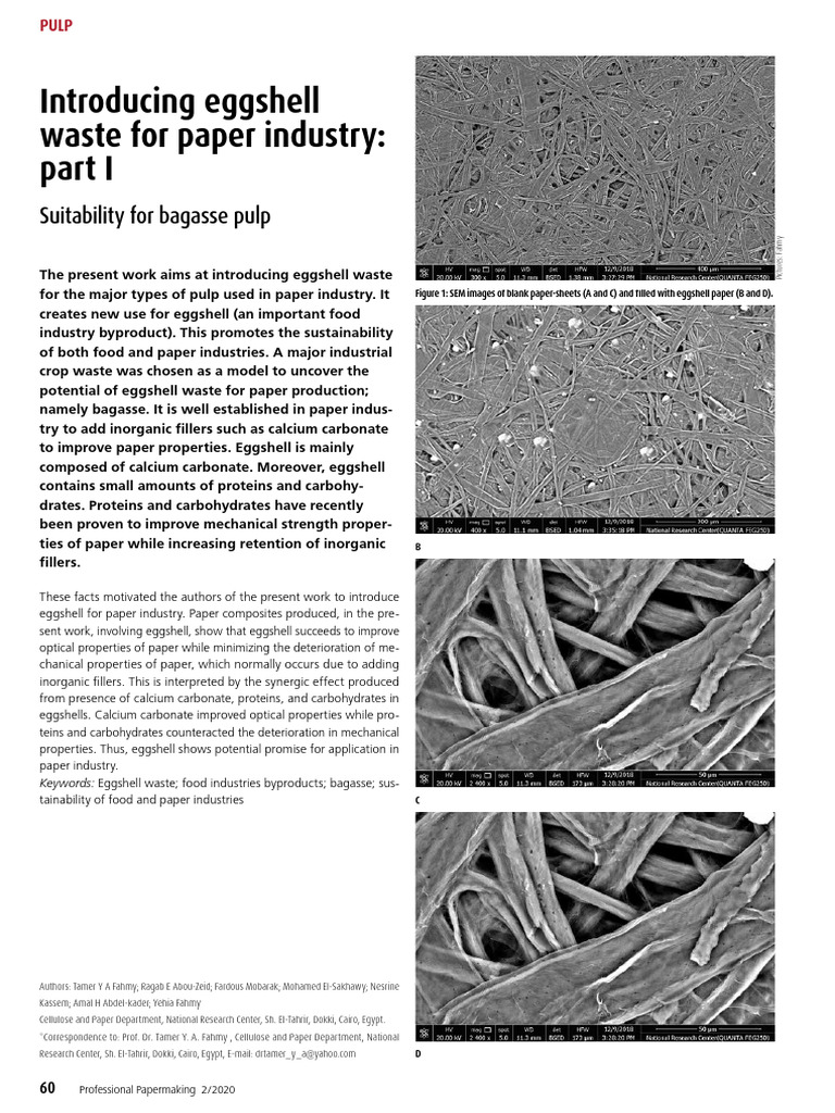 Introducing Eggshell Waste For Paper Ind | PDF