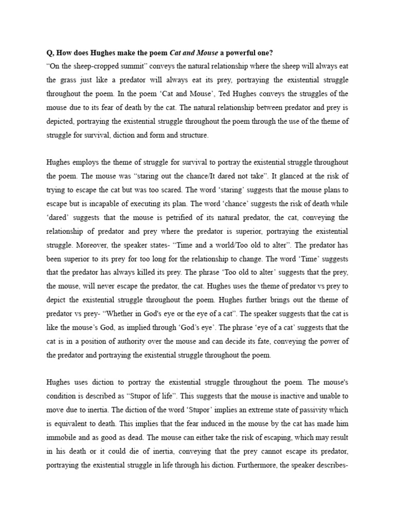Catand Mouse 4 U | PDF
