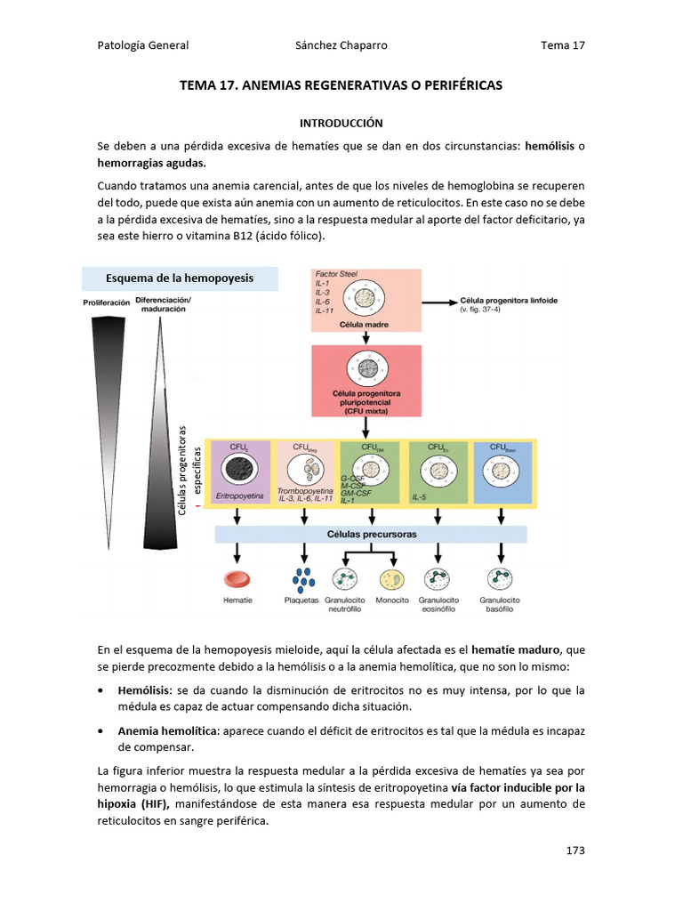 Tema 17 | PDF