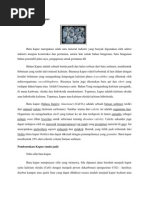 Download Pengertian Bahan Kapur by Abdul Fickar Hajar SN76936801 doc pdf