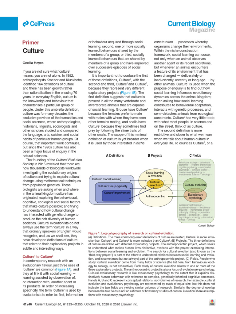 Understanding Cultural Evolution Definitions | PDF | Natural Selection ...