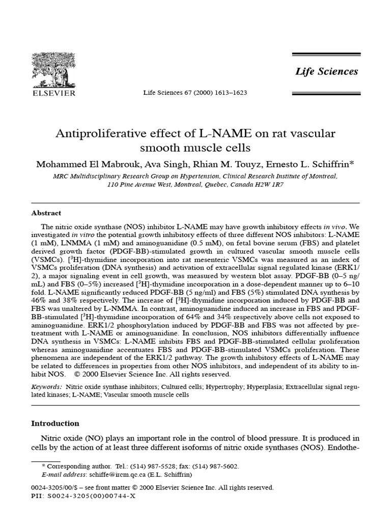 Antiproliferative Effect of L-NAME On Rat Vascular Smooth Muscle Cells ...