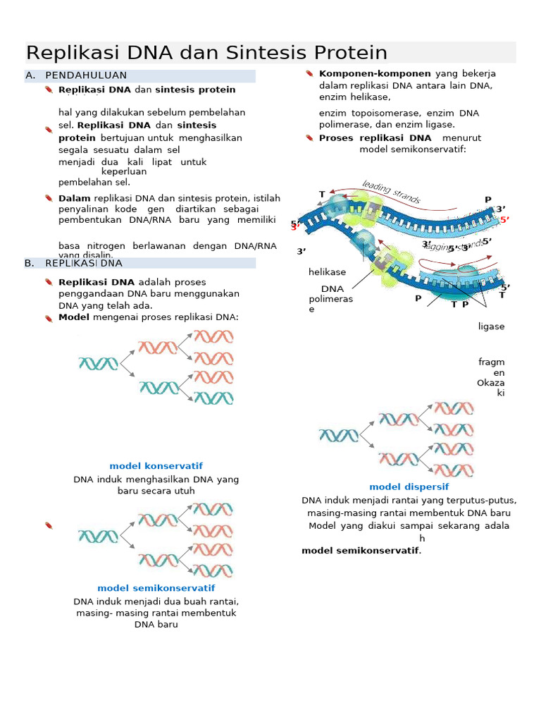 Replikasi DNA Dan Sintesis Protein | PDF