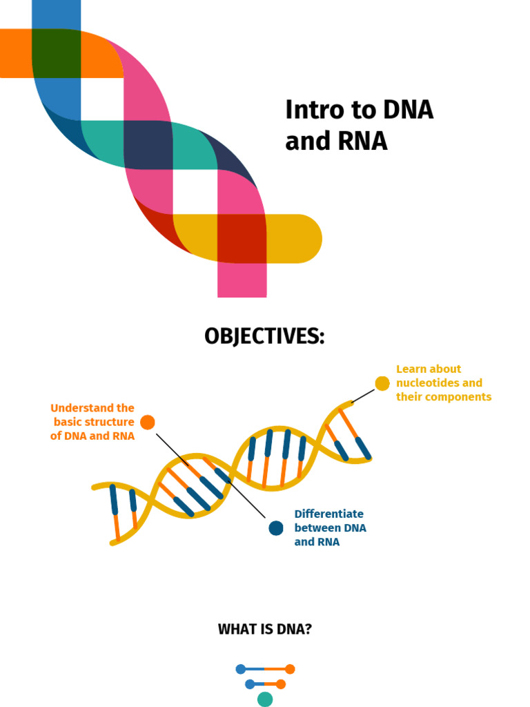 01 - Dna & Rna | PDF