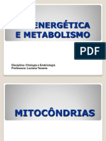 Bioenergetica e Metabolismo2011.2